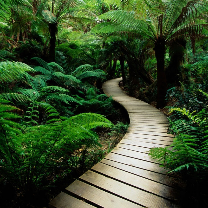 Cool Nature Backgrounds For Computers Cool Nature Backgrounds For Computers
