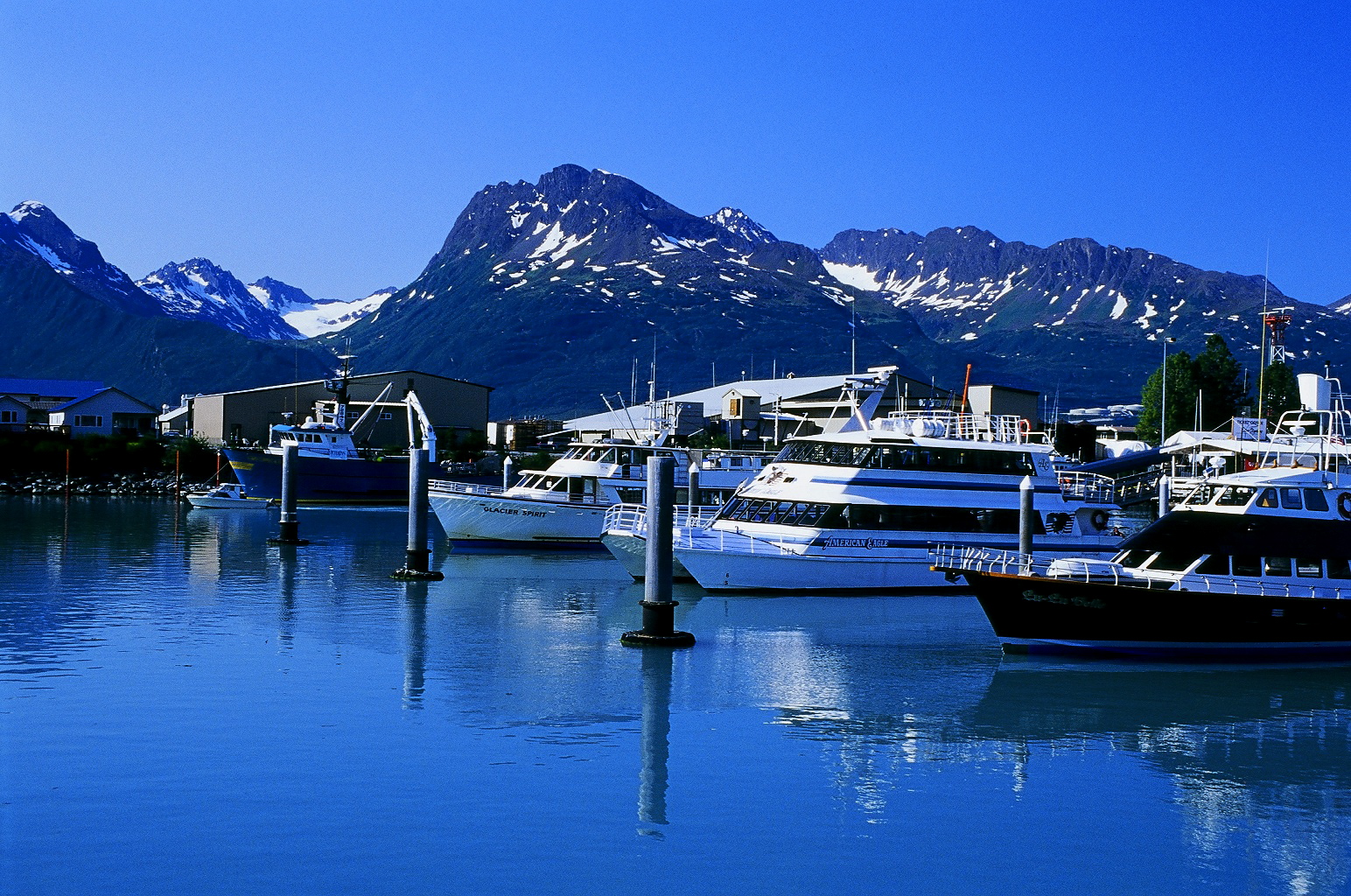 One Day in America Cruising Prince William Sound near Valdez, Alaska
