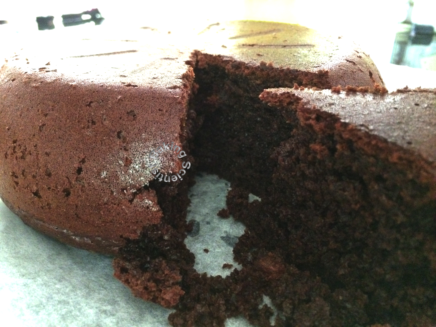 Rice Cooker Cake Chocolate Pumpkin Cake