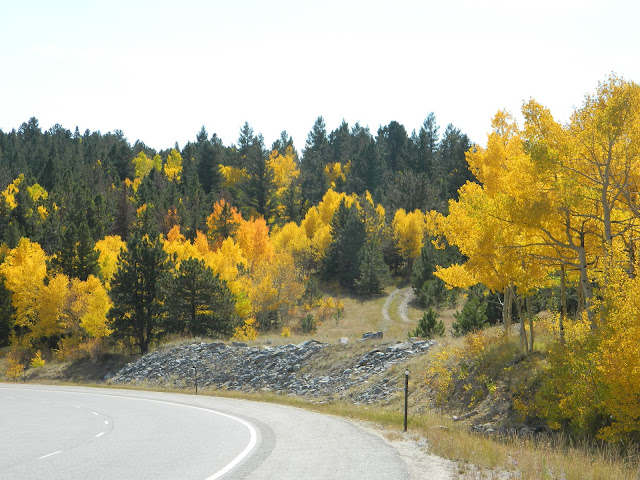 Roaming Rita: Fall Colors in Colorado