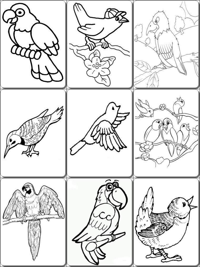 Birds Coloring Pages PDF ~ pdf coloring pages Birds Coloring Pages PDF ~ pdf coloring pages