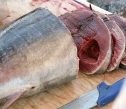 7 jenis ikan yang rendah merkuri 7 jenis ikan yang rendah merkuri