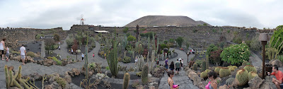 Jardín de Cactus Jardín de Cactus