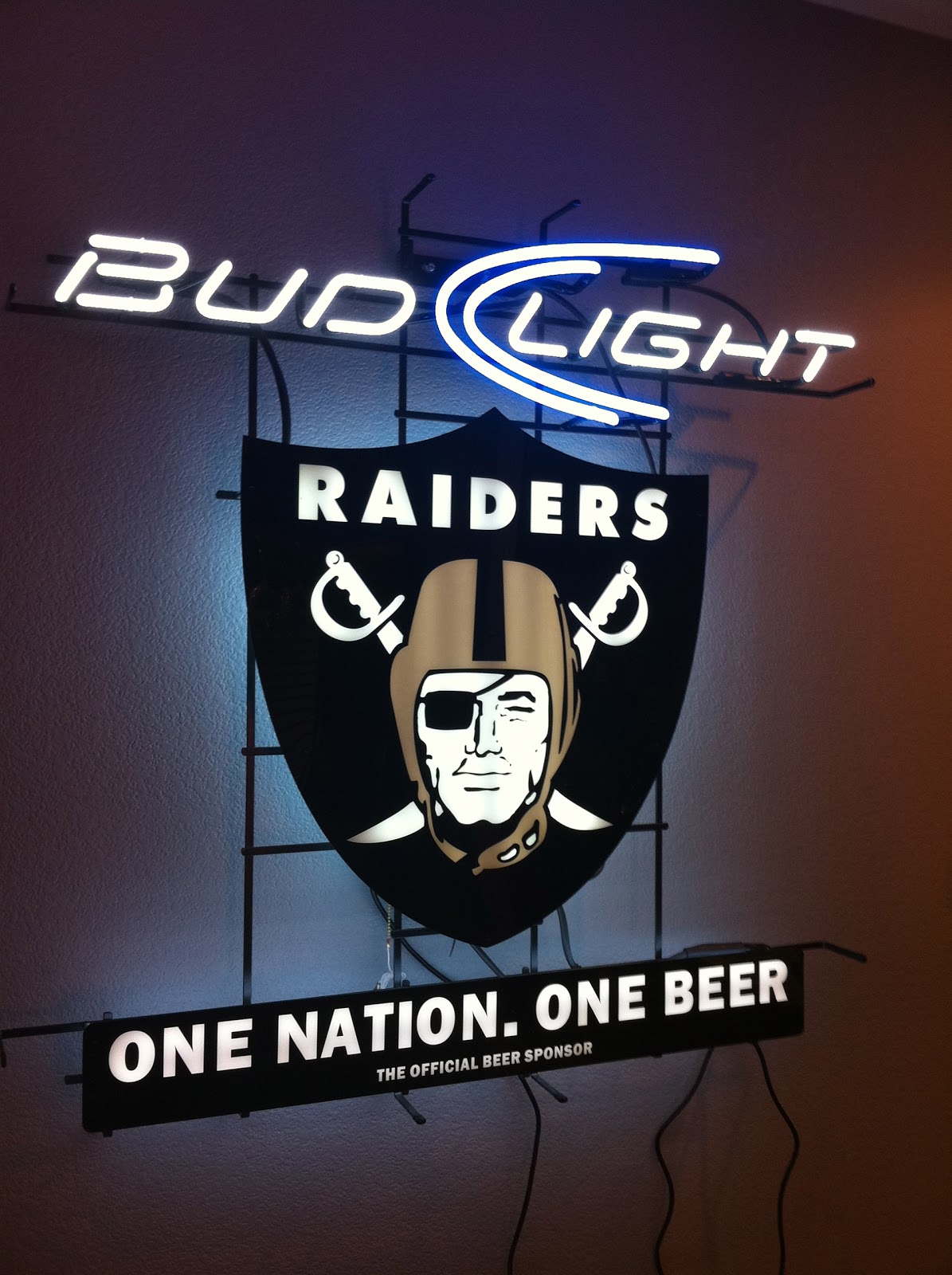 Matt the Toolman Taylor One Nation. One Beer