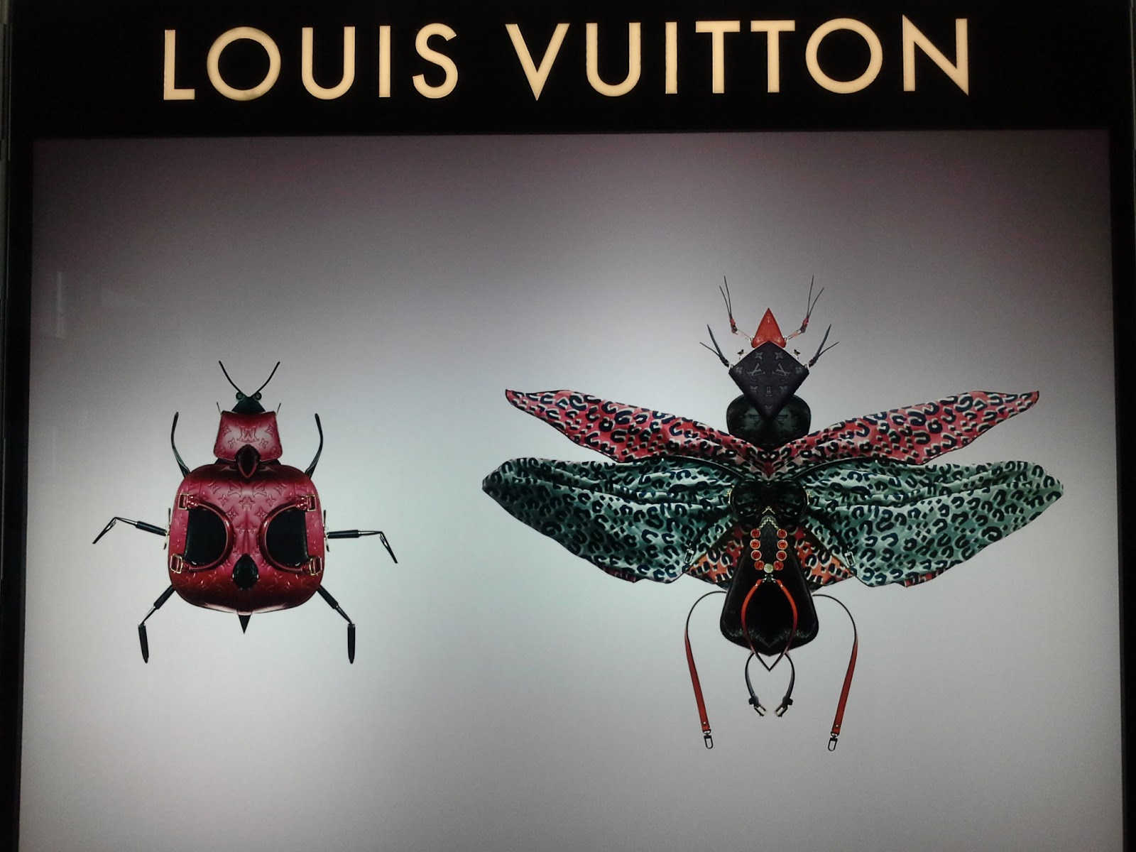 Frameweb  Louis Vuitton Savoir Rever