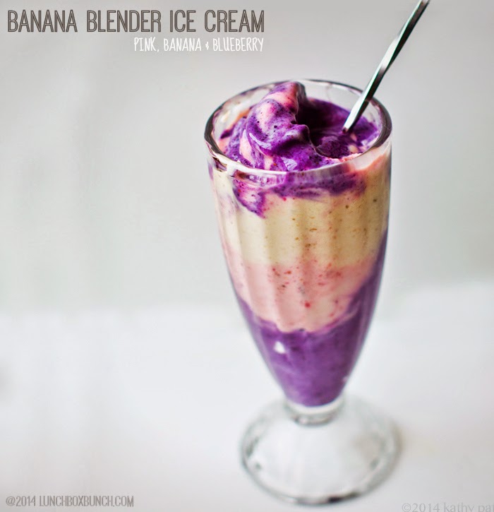 vegan blender ice cream vegan blender ice cream