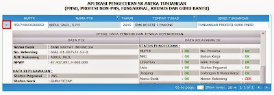 Detail Data PTK Pengecekan SK Aneka Tunjangan