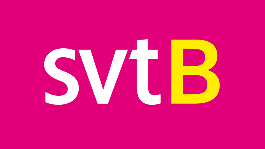 Logotyp för SVT B