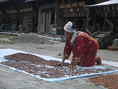 cocoa by monica renata via Flickr and a Creative Commons license