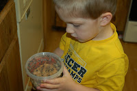 boys holding cup of live ladybugs