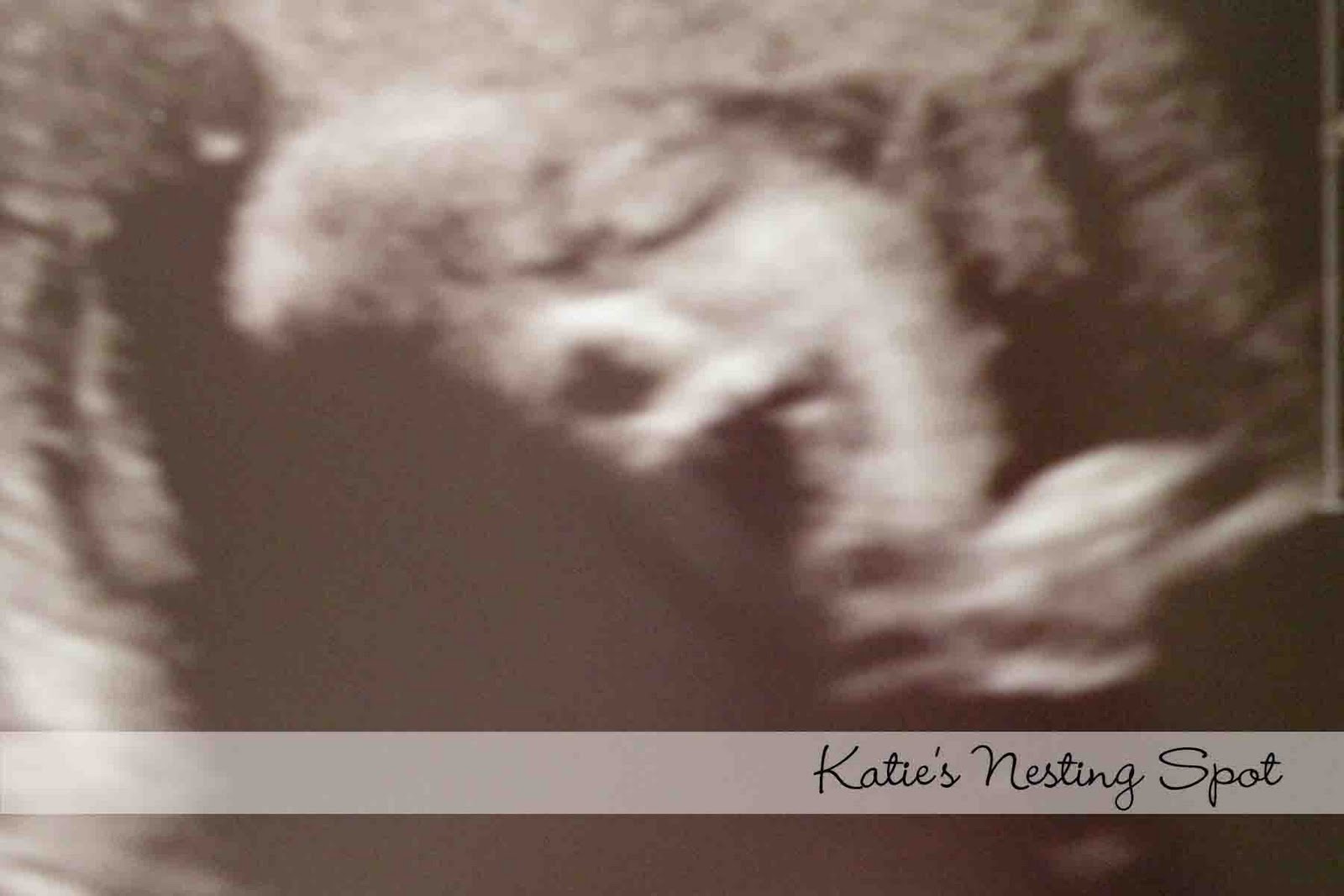 Katie's Nesting Spot 29 Weeks