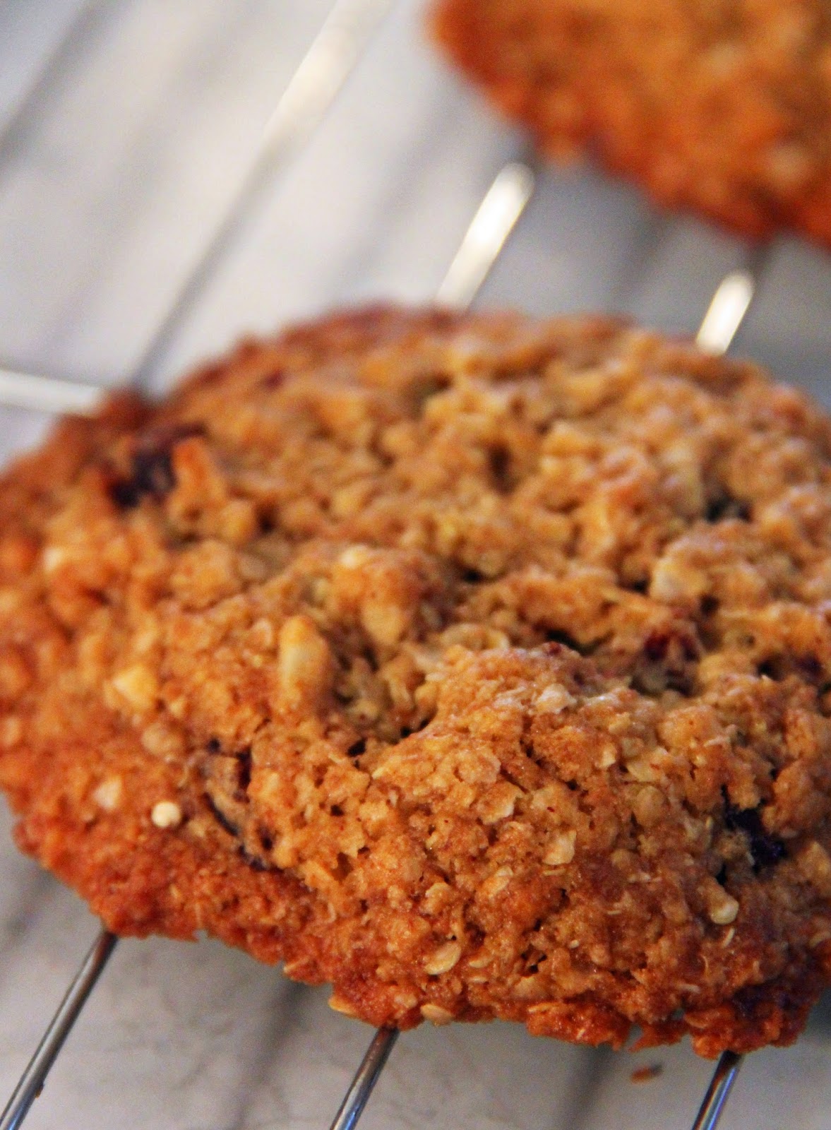 Jo and Sue Quinoa Cranberry Coconut Almond Cookies (vegan)