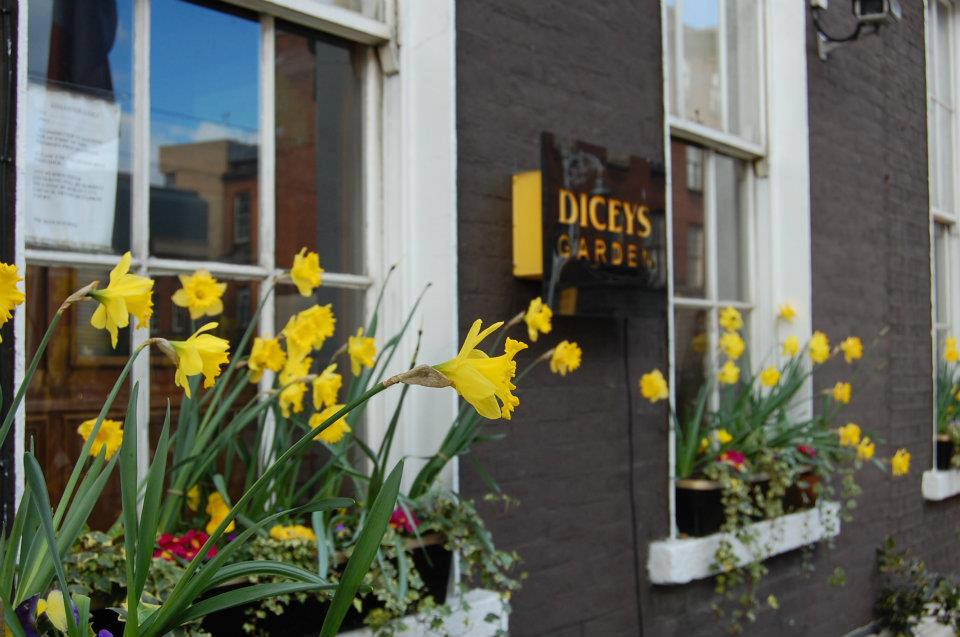 Dublin, let's go. Dicey’s Garden