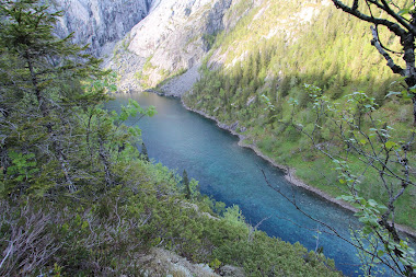 Strompdalselva elvevandring