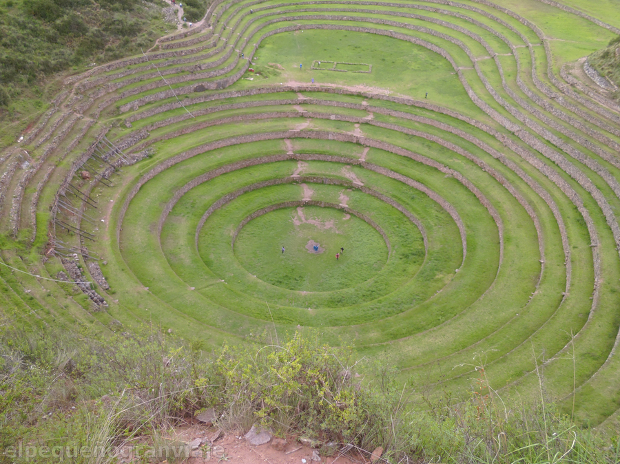 Moray