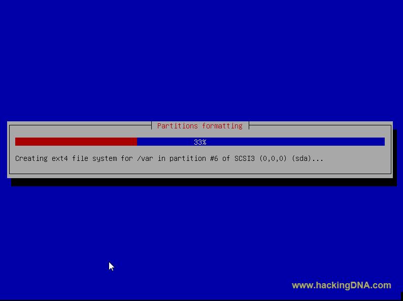 Kali Linux Installation HackingDNA
