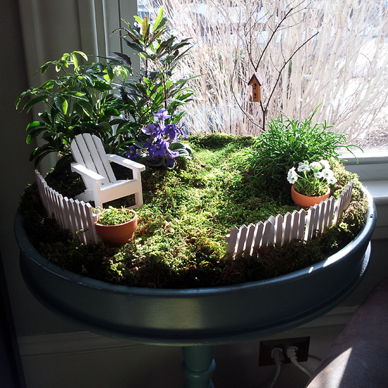 Everyday Magic A Little Lair® Create Your Own Indoor Fairy Garden.