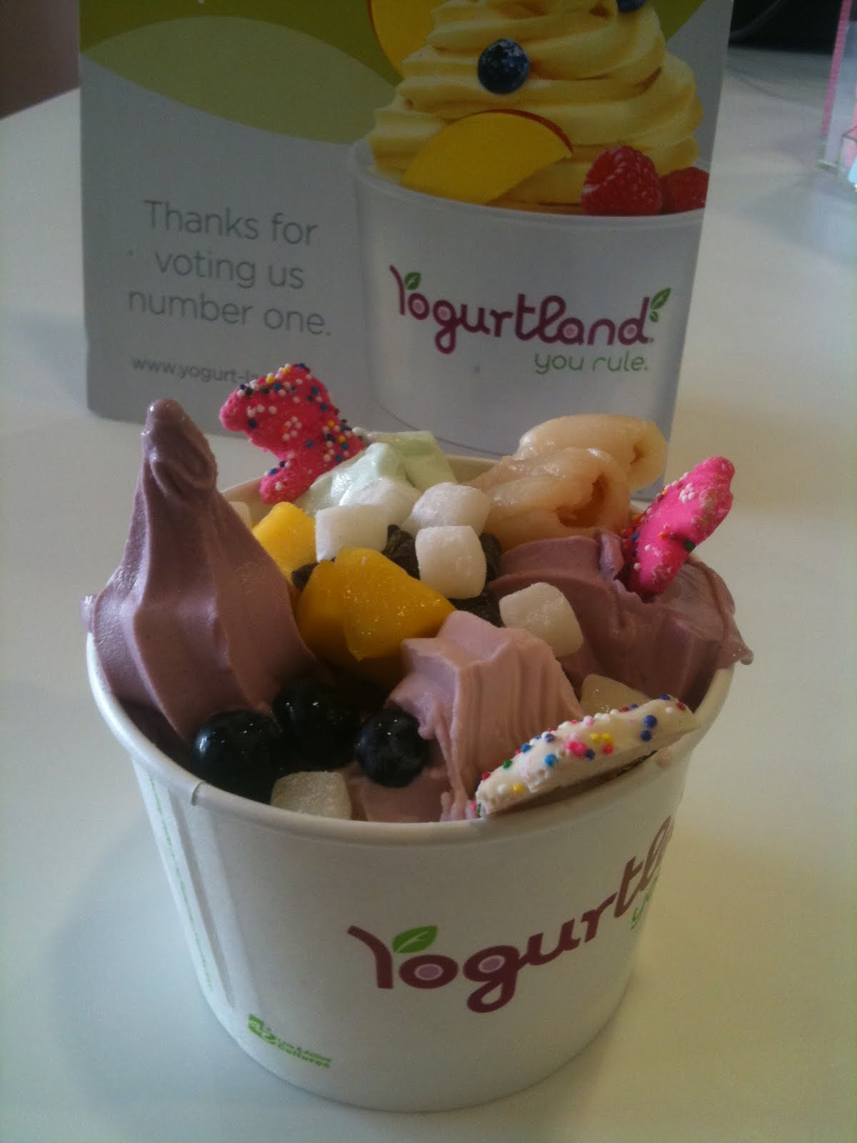 Flavor to go Fast! Italian, Yogurtland, The Best Cafe