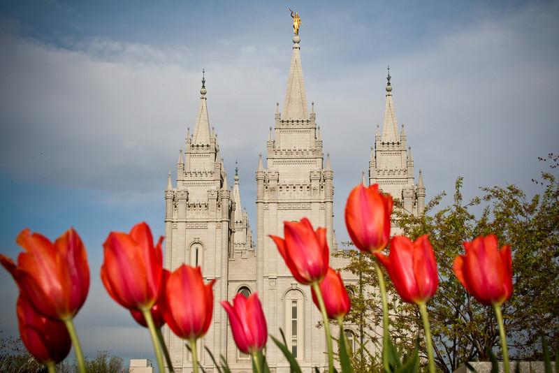 Spring on Temple Square