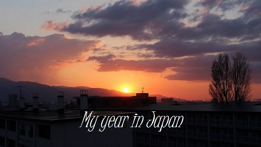 My year in Japan