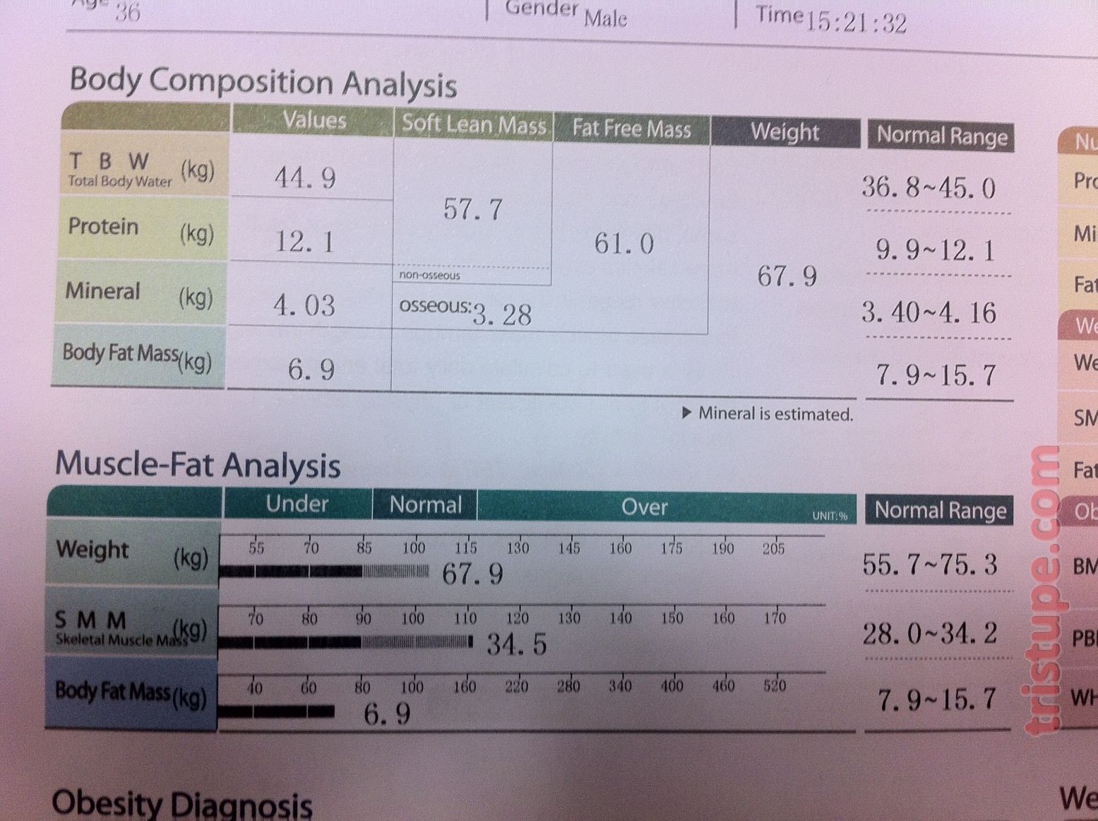 VO2max Test Protocols