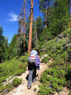 First stretch of the trail.