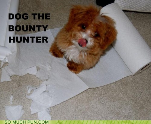 funny-puns-smp-classic-dog-the-bounty-hunter.jpg