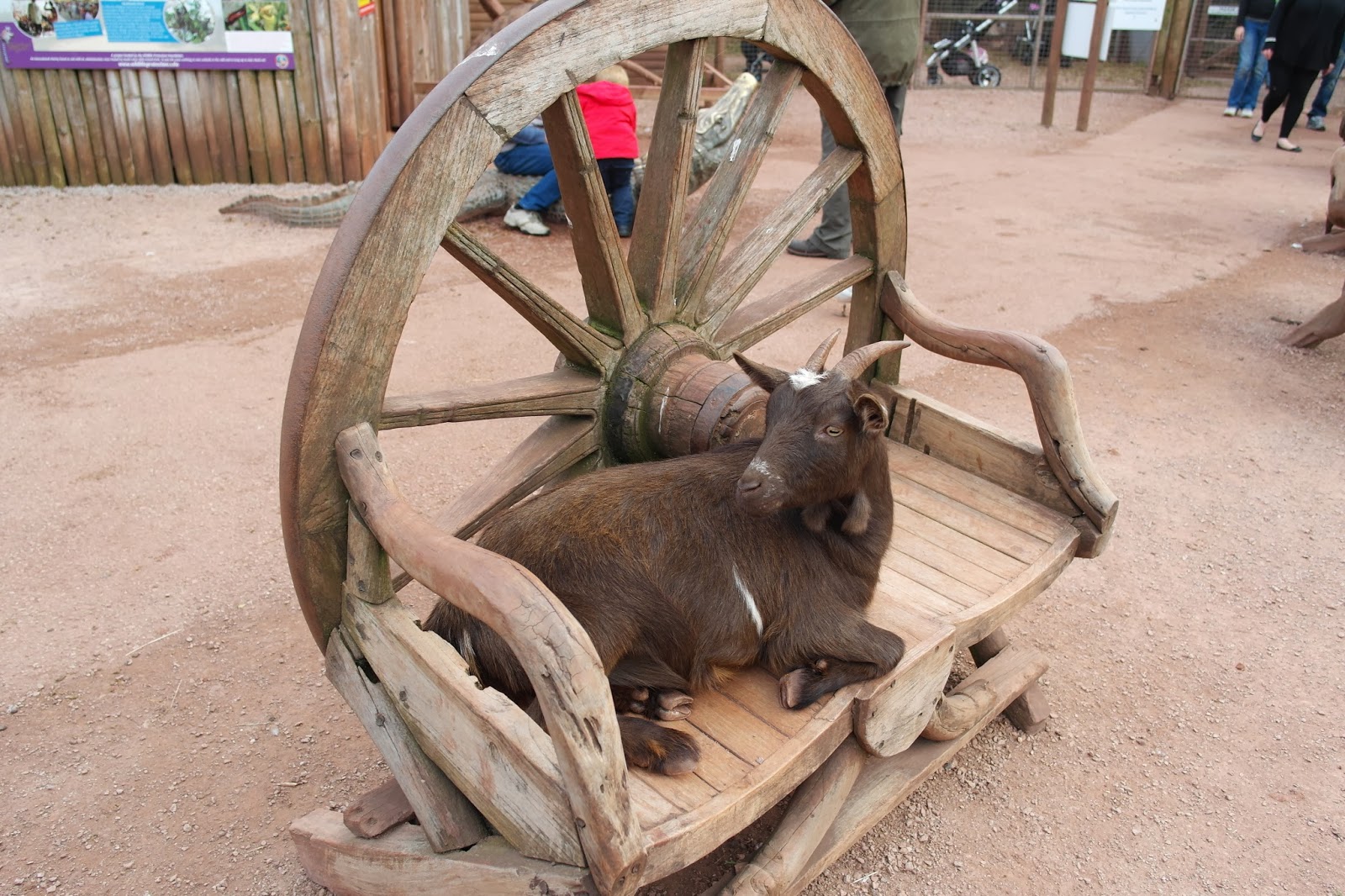 Life in Northern Towns DaltonInFurness South Lakes Zoo