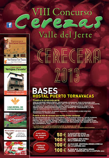 Buscando la cereza más grande del Valle del Jerte Buscando la cereza más grande del Valle del Jerte