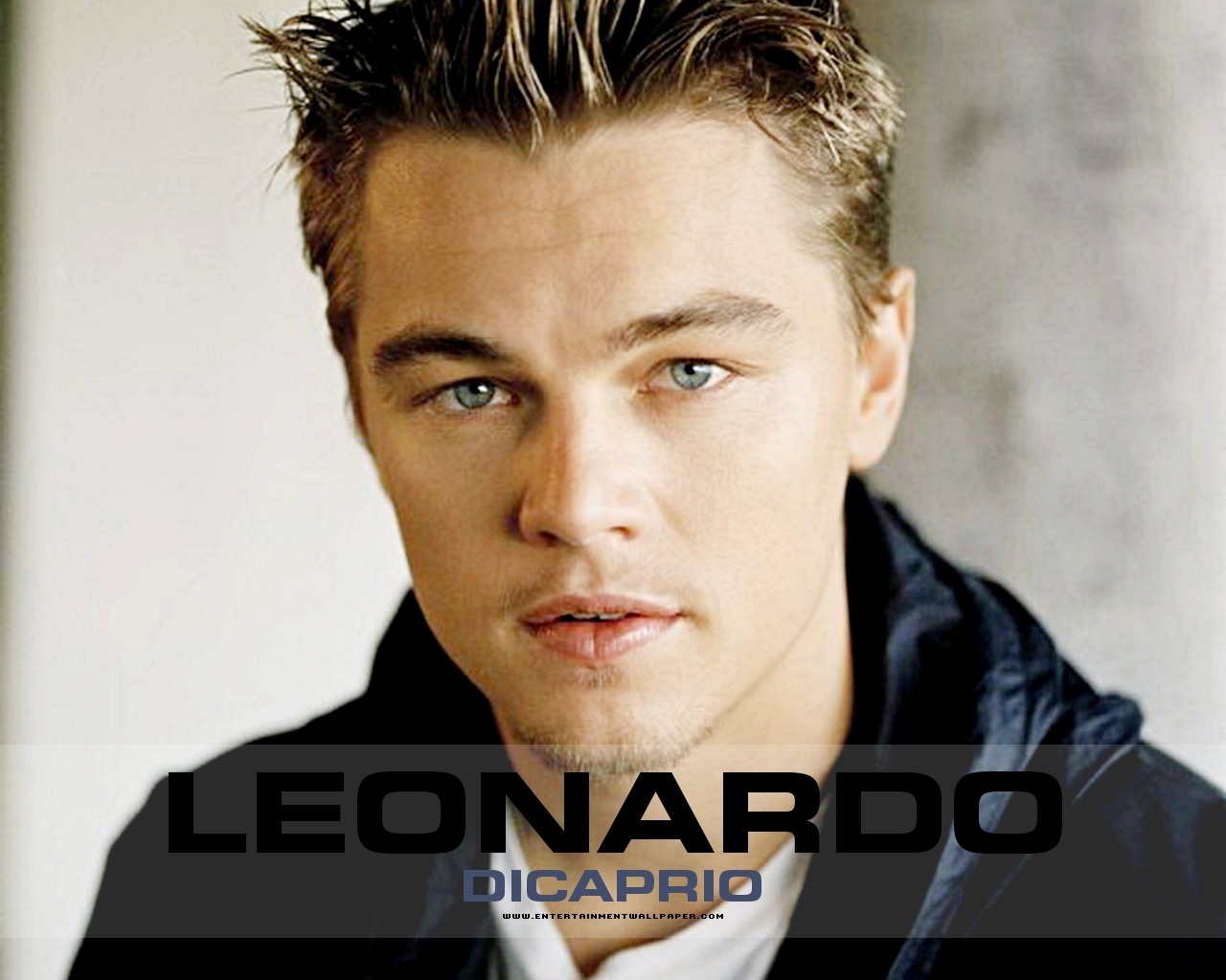 http://4.bp.blogspot.com/-1CdDlI2FpnM/T1mOGqej2qI/AAAAAAAAD9Y/1WKetACrB_M/s1600/Leonardo-Dicaprio-Latest-HD-Wallpapers-Titanic-Hollywood-Hot-Cool-Handsome+%283%29.jpg