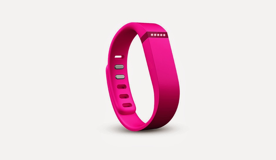 Making My Stead FitBit Flex Review