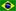 Brazilian Flag