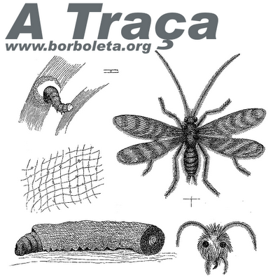 A Traça