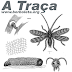 A Traça Inseto