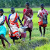 Sri Lanka: Comments on Tamils seeking refuge in Tamil Nadu