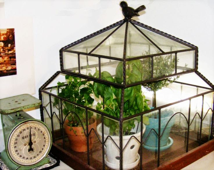 Antique Wardian Cases