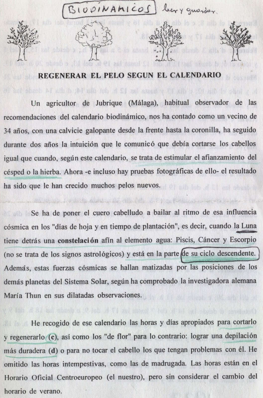 Fotos de cortes semilargos Cortes de Pelo
