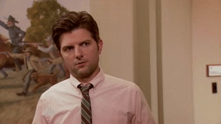 ben-wyatt-zoom-reaction.gif