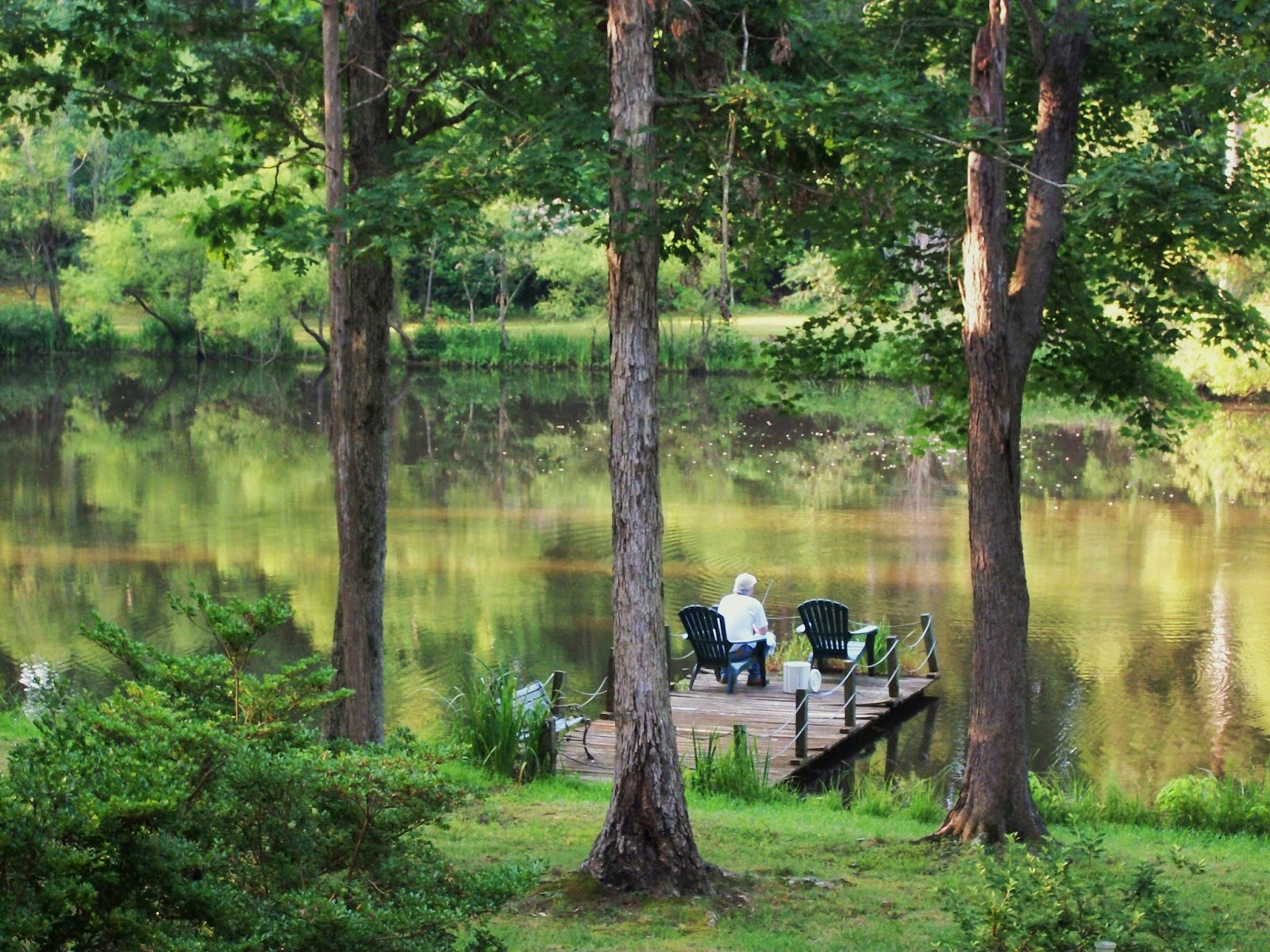 Pond...on a good day