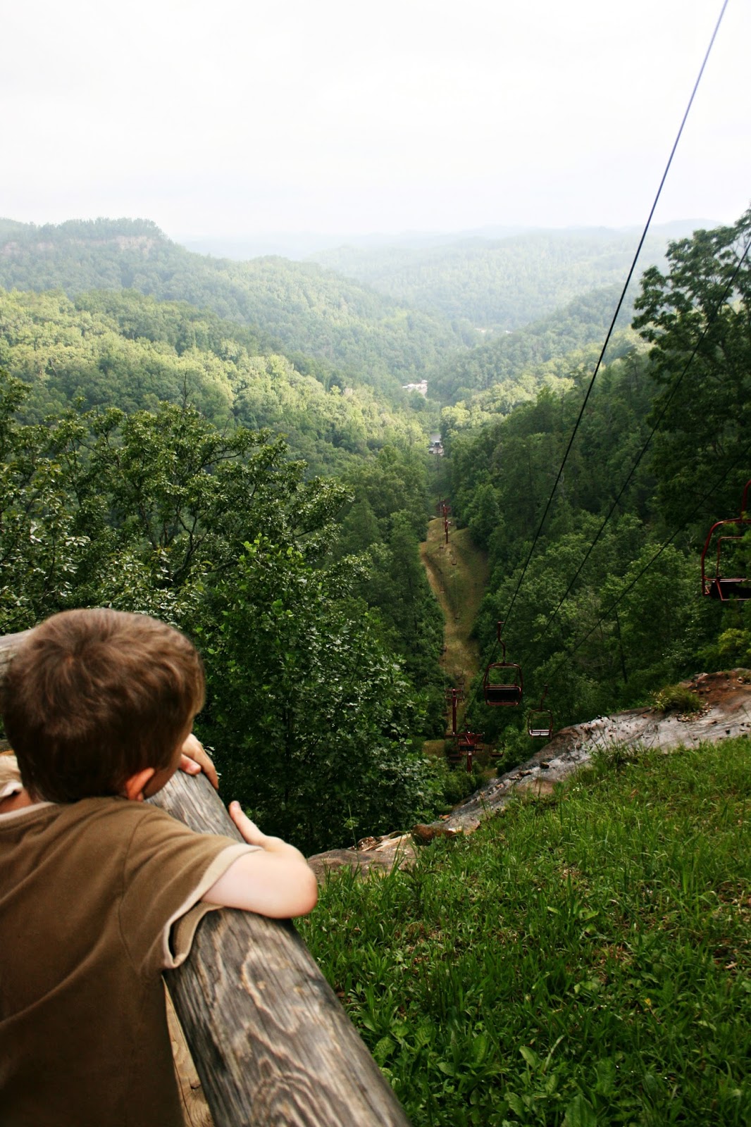 Two Bears Farm and the Three Cubs The Skylift at Natural Bridge State Park in Kentucky
