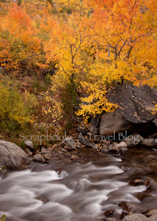 Fall Colors at Eastern Sierras Bishop Fall Colors at Eastern Sierras Bishop
