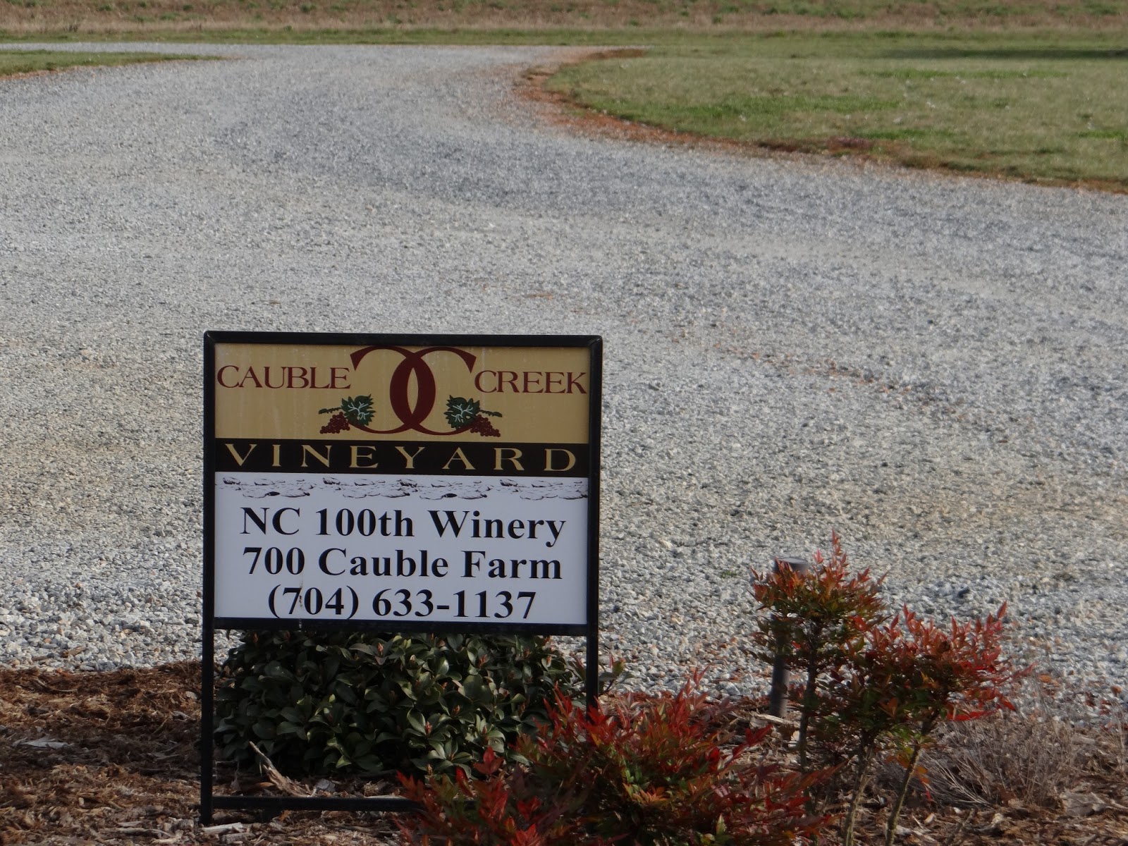 Walkabout With Wheels Blog Cauble Creek Vineyard in Salisbury, North