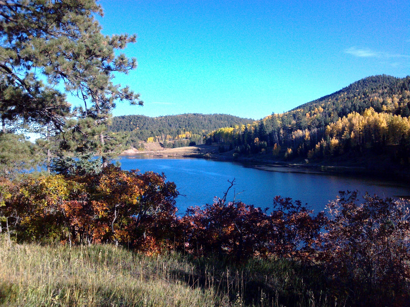 San Isabel Fall 2012 Photo Tour (Aspen, Colorado City homes, live