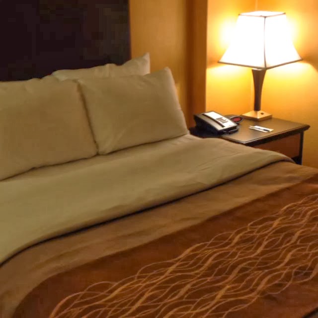 Comfort Inn Suites Oceanfront Hotel In Virginia Beach Fun