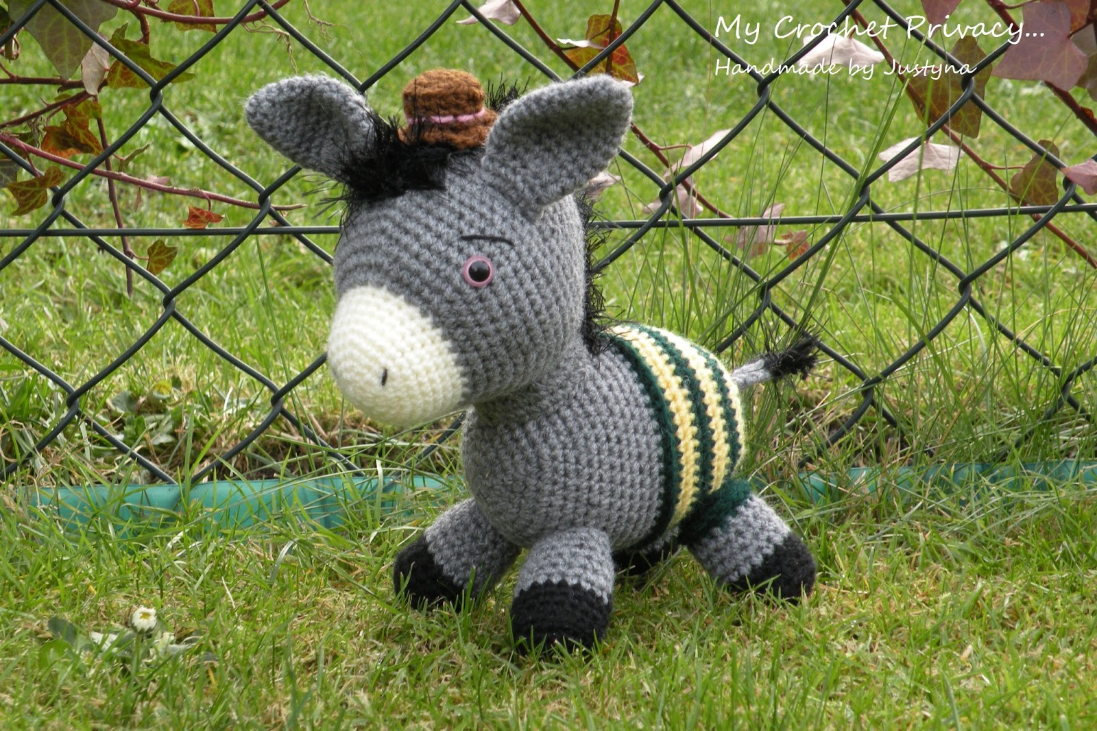 jijel rencontre femme