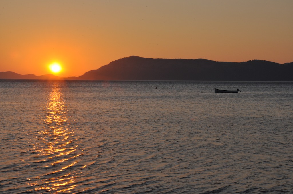 Orca Watcher Waldron Island A Different Kind of Life