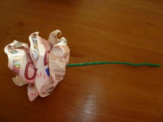 geld vouwen bloem marly design geld bloem money flower geld vouwen bloem marly design geld bloem money flower
