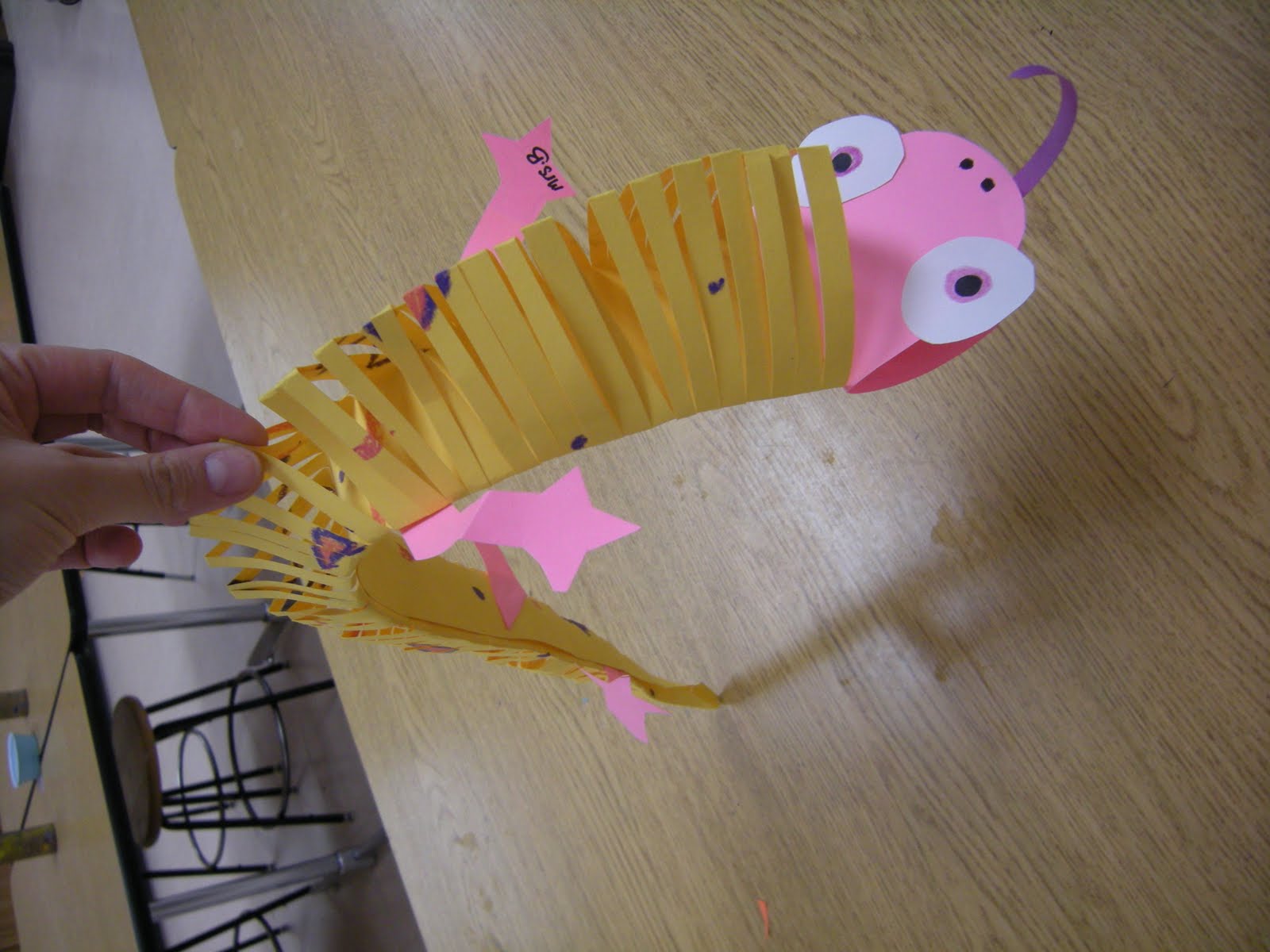 Types of lizards picture