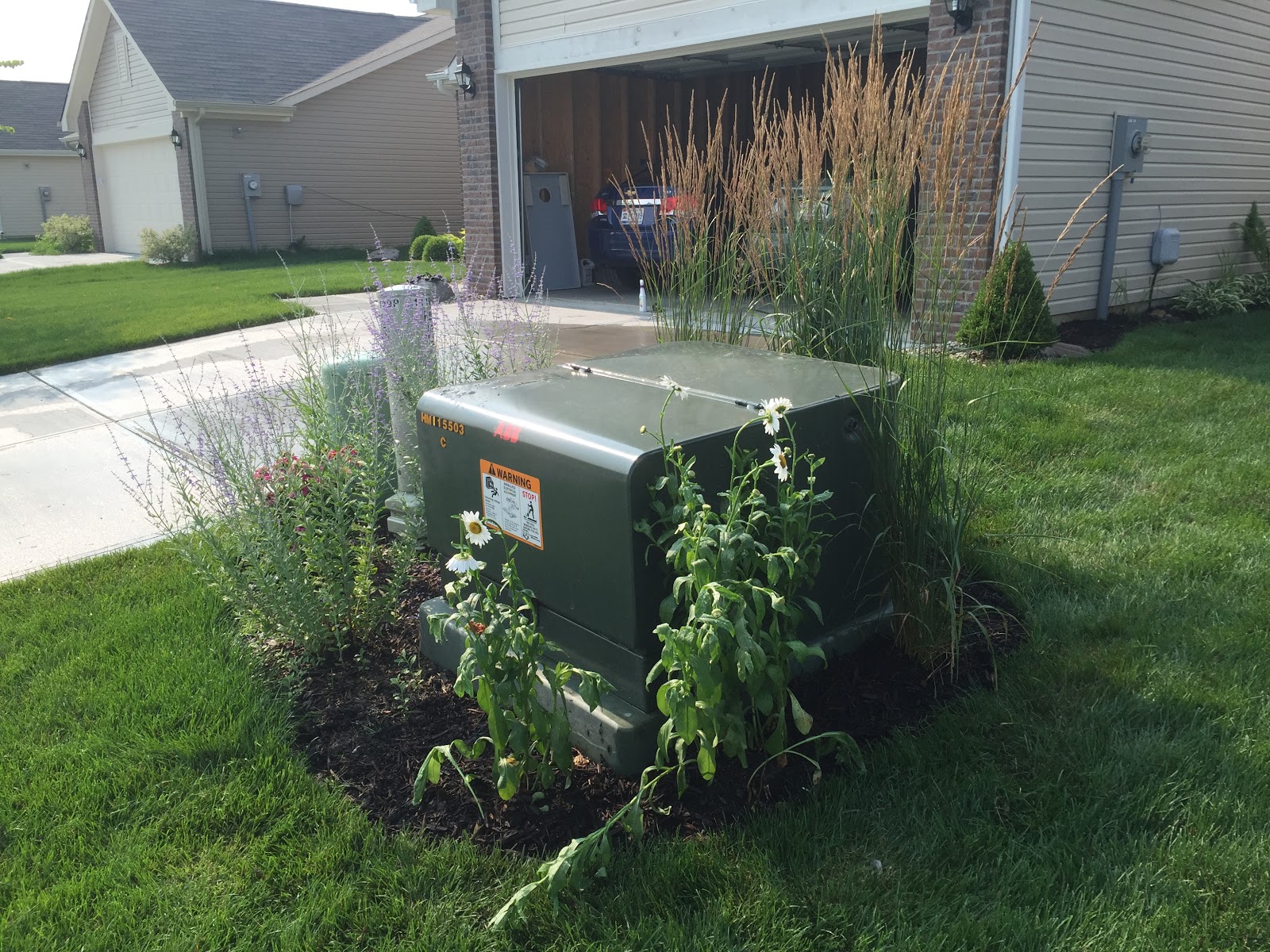 Backyard Neophyte Landscaping Blog July 2015