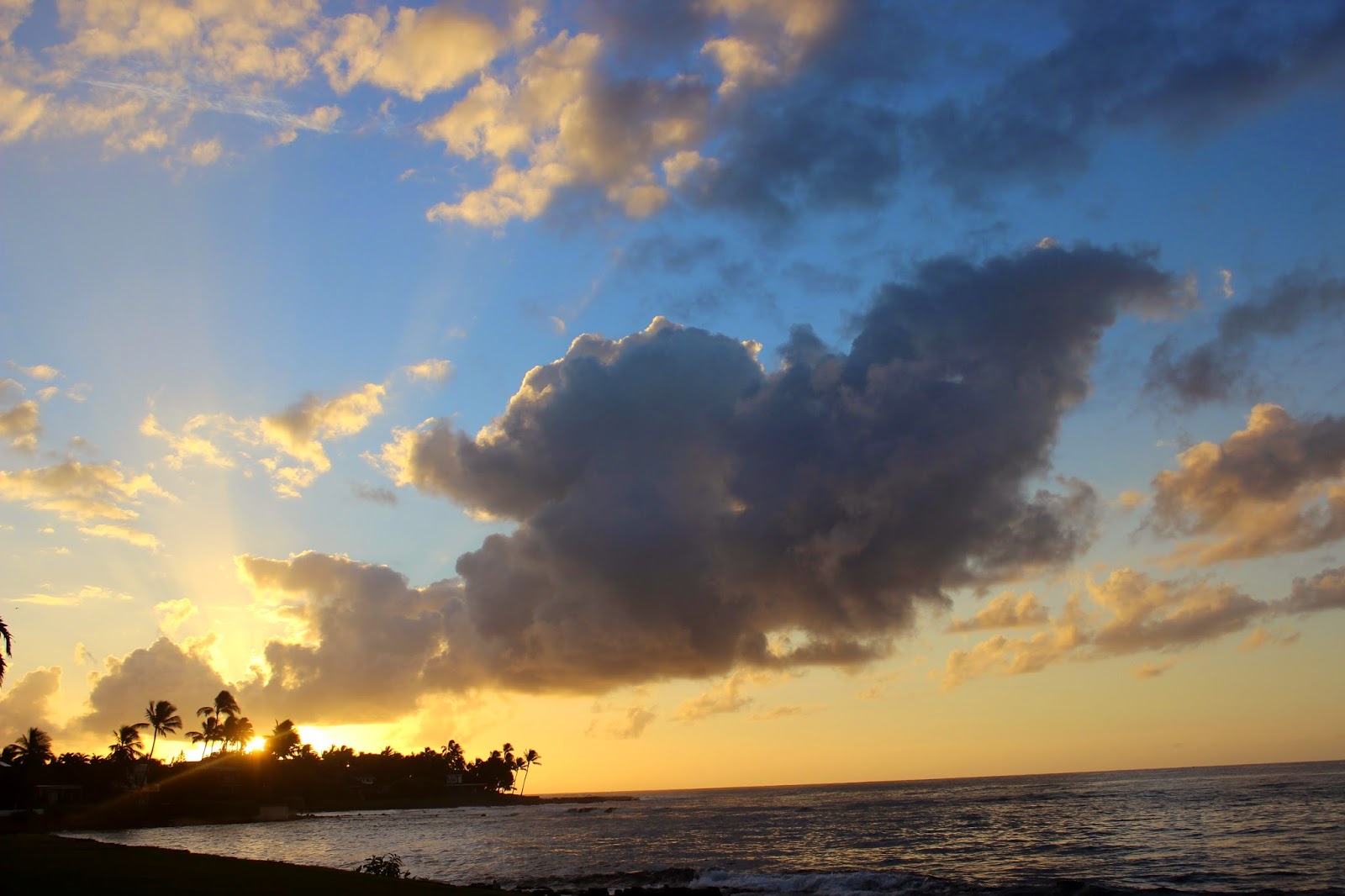 Sunrise Kuhio Shores